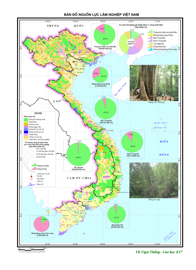Bản đồ nguồn lực lâm ngiệp Việt Nam