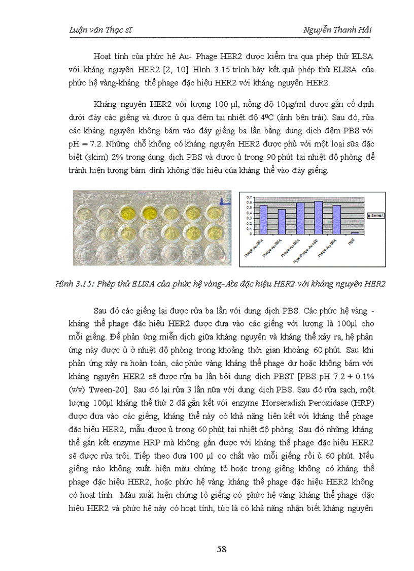 image for page Nghiên cứu các đặc trưng hóa học và tính chất quang của hạt vàng dạng cầu và ứng dụng trong đánh dấu kháng thể đơn dòng đặc hiệu HER2