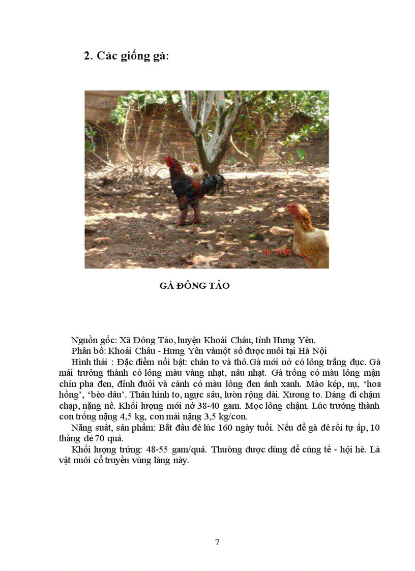 image for page Tìm hiểu chọn giống vật nuôi và cây trồng