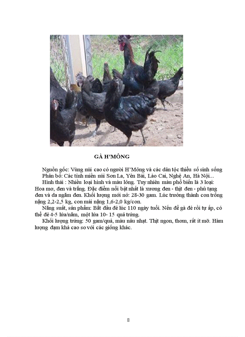 image for page Tìm hiểu chọn giống vật nuôi và cây trồng