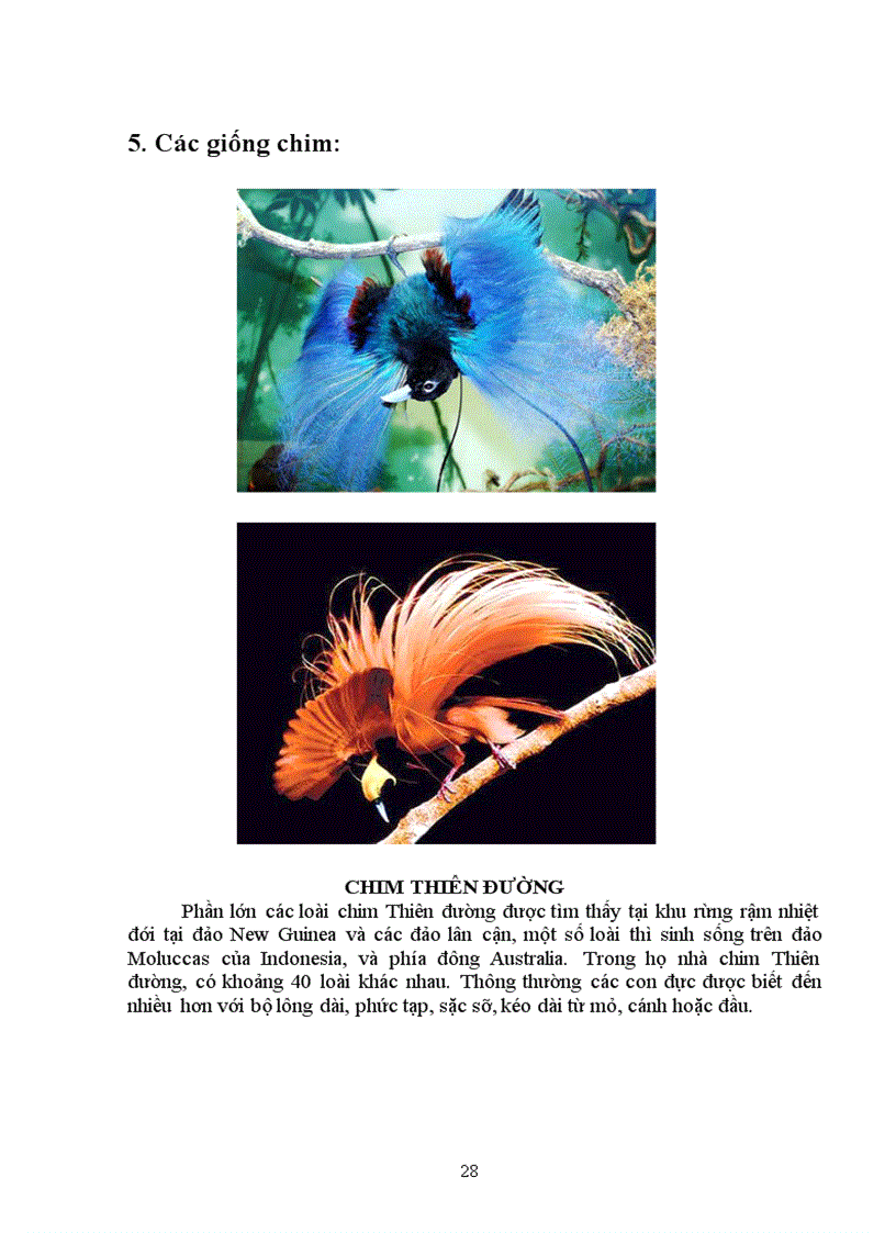 image for page Tìm hiểu chọn giống vật nuôi và cây trồng