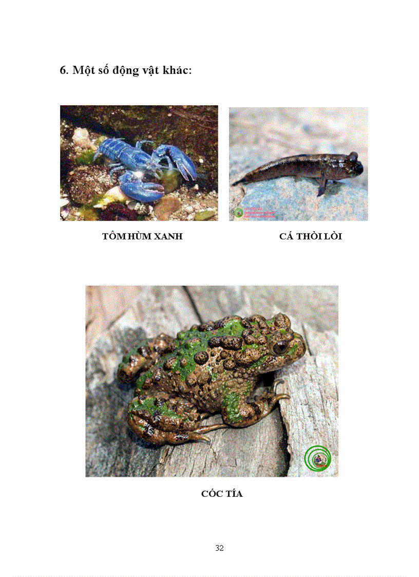 image for page Tìm hiểu chọn giống vật nuôi và cây trồng