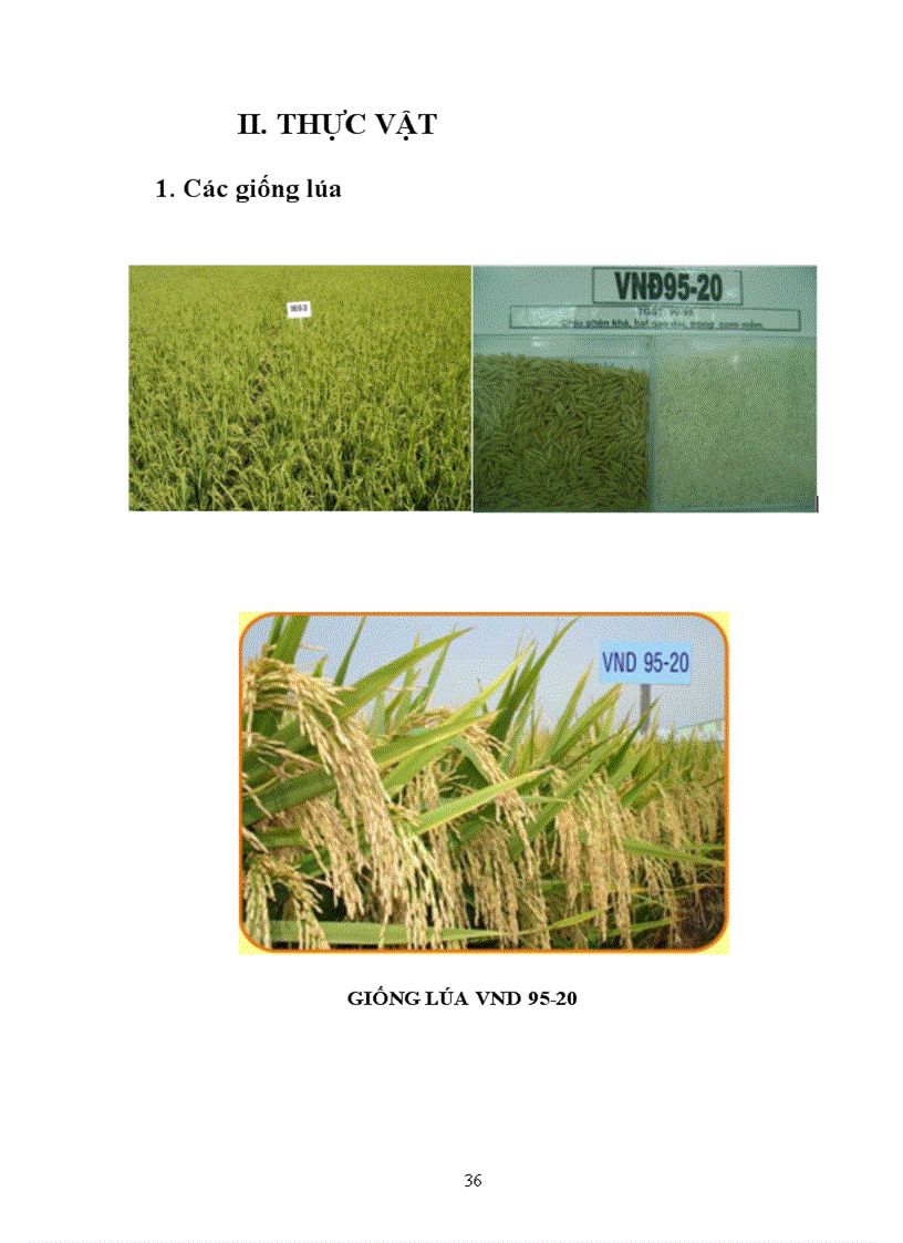 image for page Tìm hiểu chọn giống vật nuôi và cây trồng