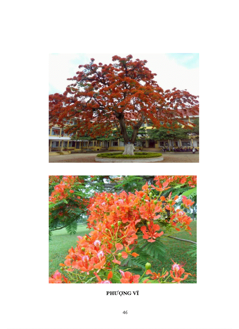 image for page Tìm hiểu chọn giống vật nuôi và cây trồng