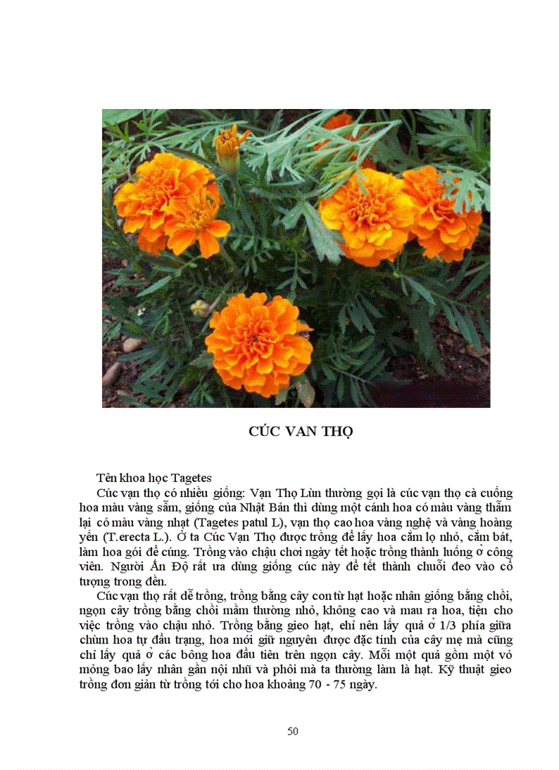 image for page Tìm hiểu chọn giống vật nuôi và cây trồng