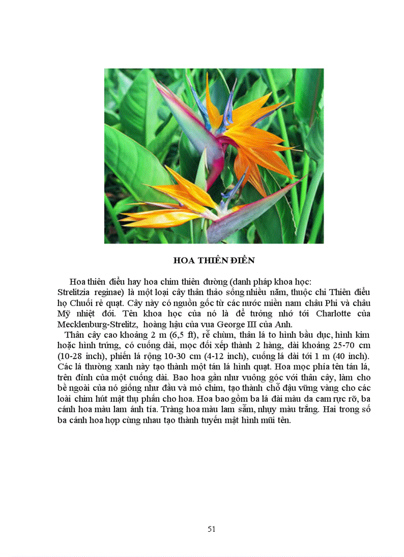 image for page Tìm hiểu chọn giống vật nuôi và cây trồng