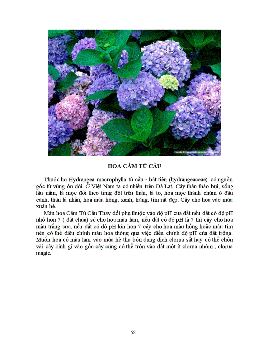 image for page Tìm hiểu chọn giống vật nuôi và cây trồng