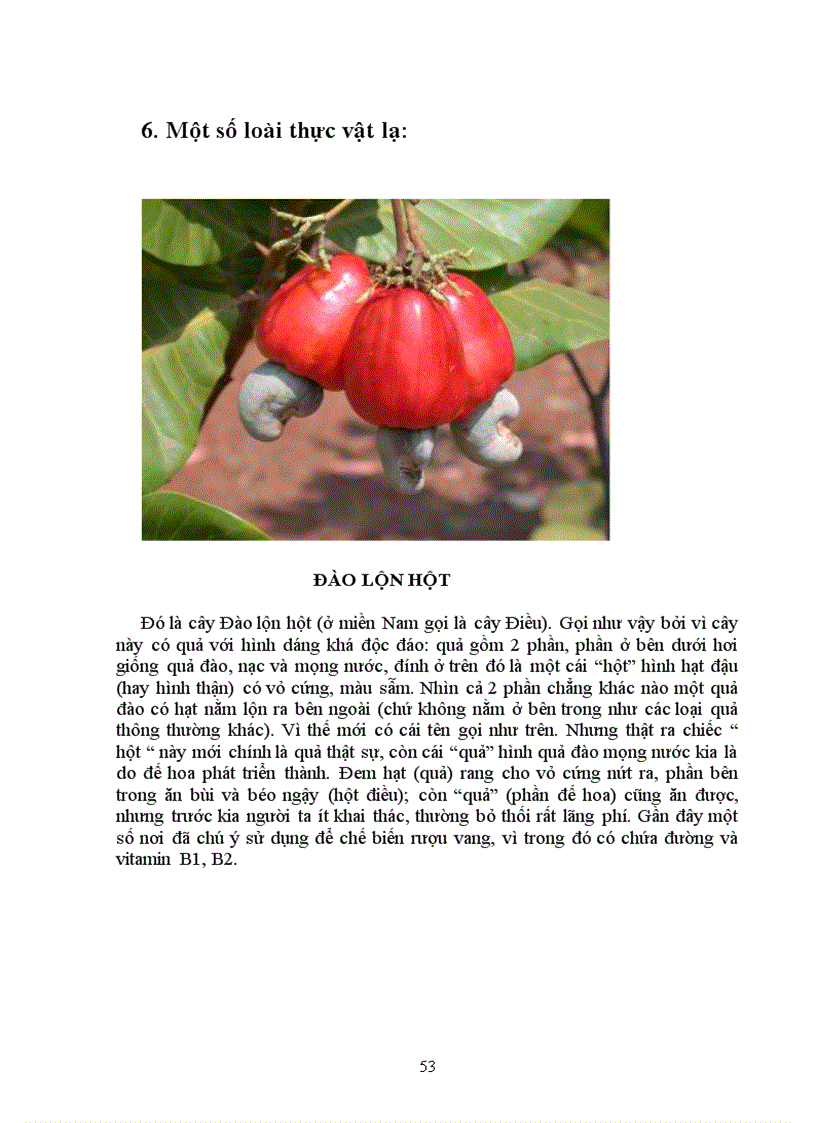 image for page Tìm hiểu chọn giống vật nuôi và cây trồng