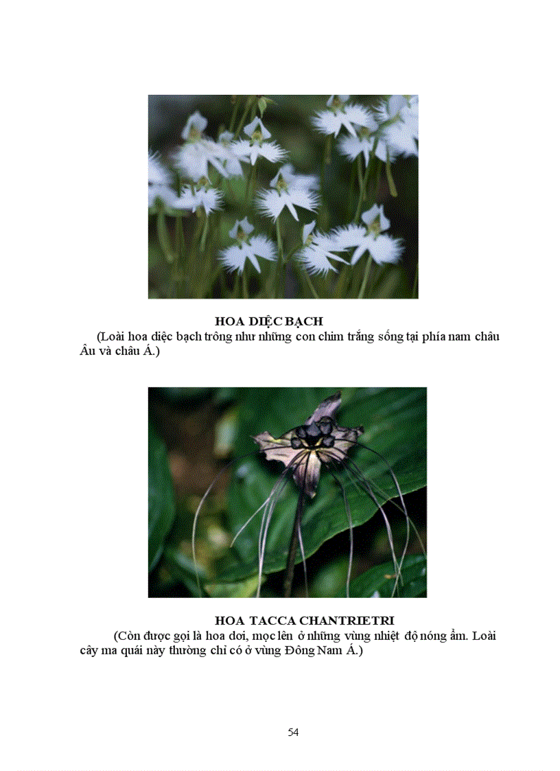 image for page Tìm hiểu chọn giống vật nuôi và cây trồng