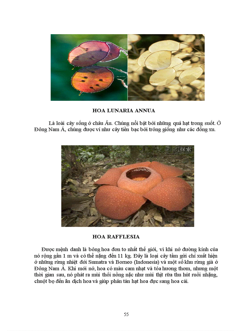 image for page Tìm hiểu chọn giống vật nuôi và cây trồng