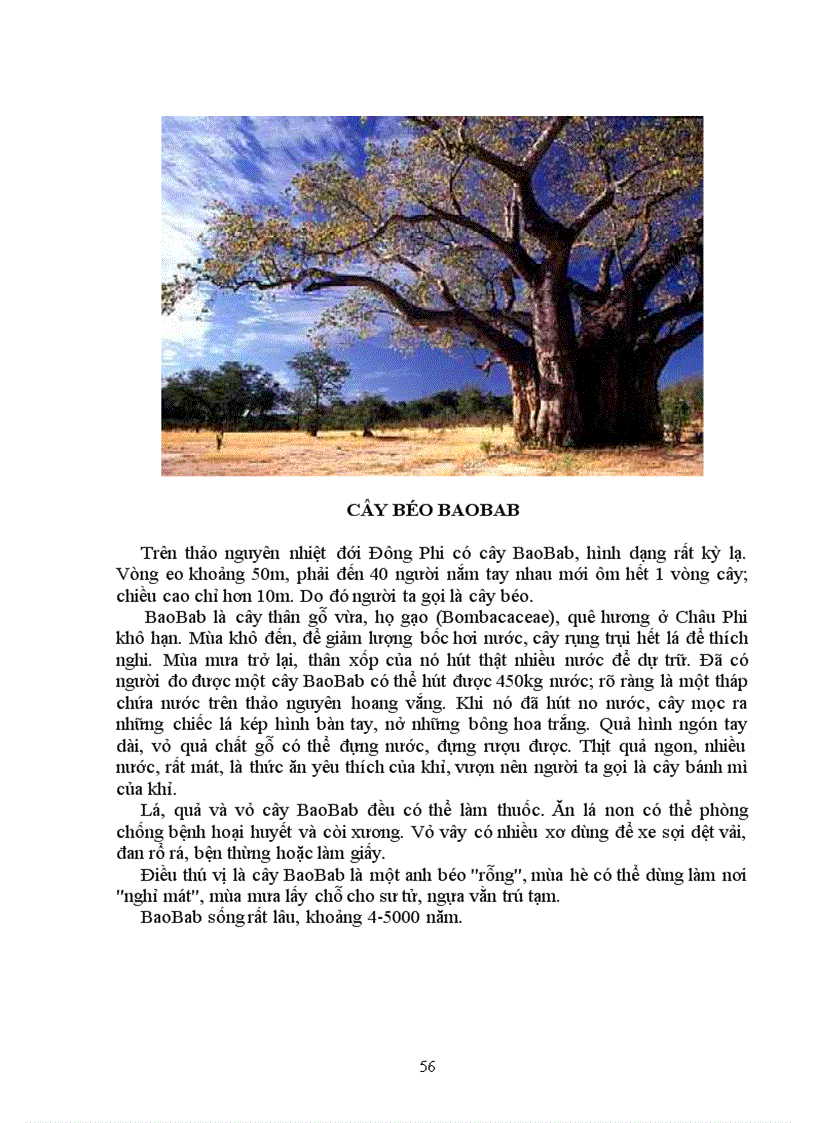 image for page Tìm hiểu chọn giống vật nuôi và cây trồng