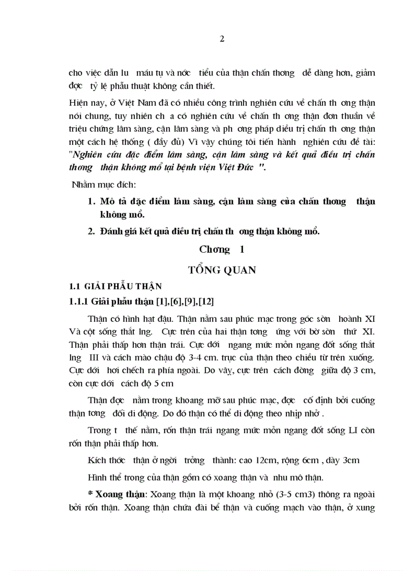 image for page Nghiên cứu đặc điểm lâm sàng cận lâm sàng và kết quả điều trị chấn thương thận không mổ tại bệnh viện Việt Đức 1