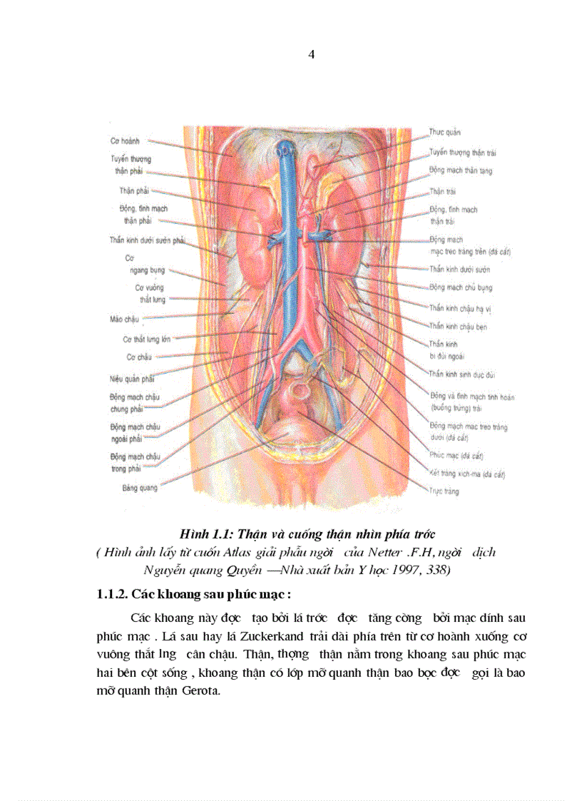 image for page Nghiên cứu đặc điểm lâm sàng cận lâm sàng và kết quả điều trị chấn thương thận không mổ tại bệnh viện Việt Đức 1