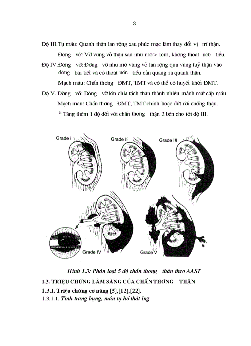 image for page Nghiên cứu đặc điểm lâm sàng cận lâm sàng và kết quả điều trị chấn thương thận không mổ tại bệnh viện Việt Đức 1