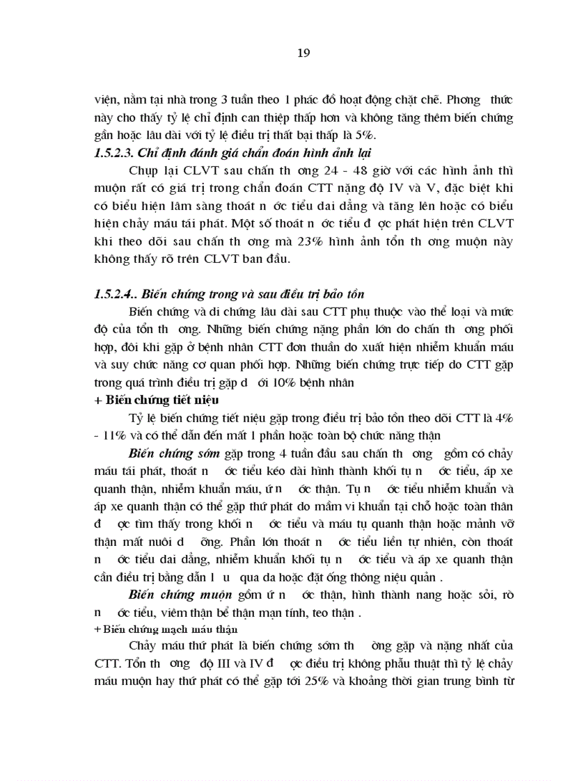 image for page Nghiên cứu đặc điểm lâm sàng cận lâm sàng và kết quả điều trị chấn thương thận không mổ tại bệnh viện Việt Đức 1