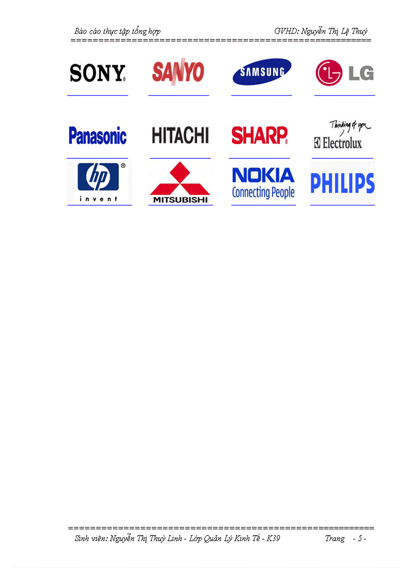 image for page Định hướng hoạt động và phát triển của Công Ty Cổ Phần Thương Mại Điện Máy Việt Long trong thời gian tới