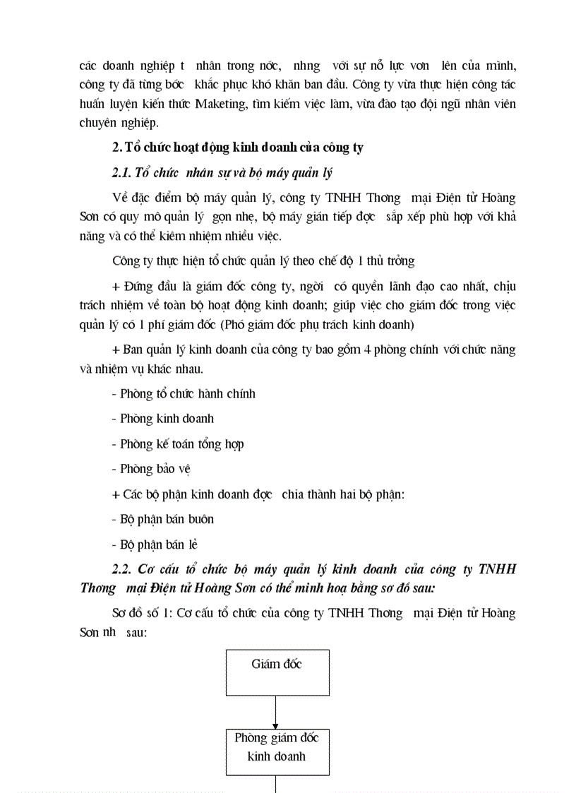 image for page Thực trạng công tác kế toán bán hàng và Xác định kết quả bán hàng tại Công ty TNHH Thương mại điện tử HoàngSơn 1