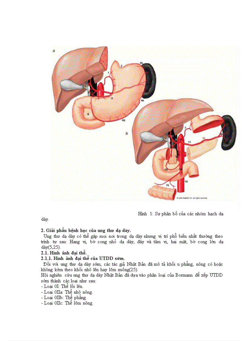 image for page Nghiên cứu triệu chứng lâm sàng cận lâm sàng ở bệnh nhân cắt toàn bộ dạ dày do ung thư tại bệnh viện Việt Đức từ năm 2006 tới 201