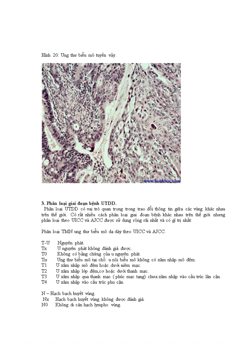 image for page Nghiên cứu triệu chứng lâm sàng cận lâm sàng ở bệnh nhân cắt toàn bộ dạ dày do ung thư tại bệnh viện Việt Đức từ năm 2006 tới 201