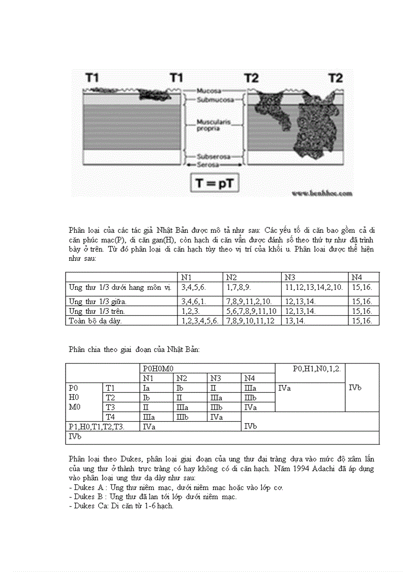 image for page Nghiên cứu triệu chứng lâm sàng cận lâm sàng ở bệnh nhân cắt toàn bộ dạ dày do ung thư tại bệnh viện Việt Đức từ năm 2006 tới 201