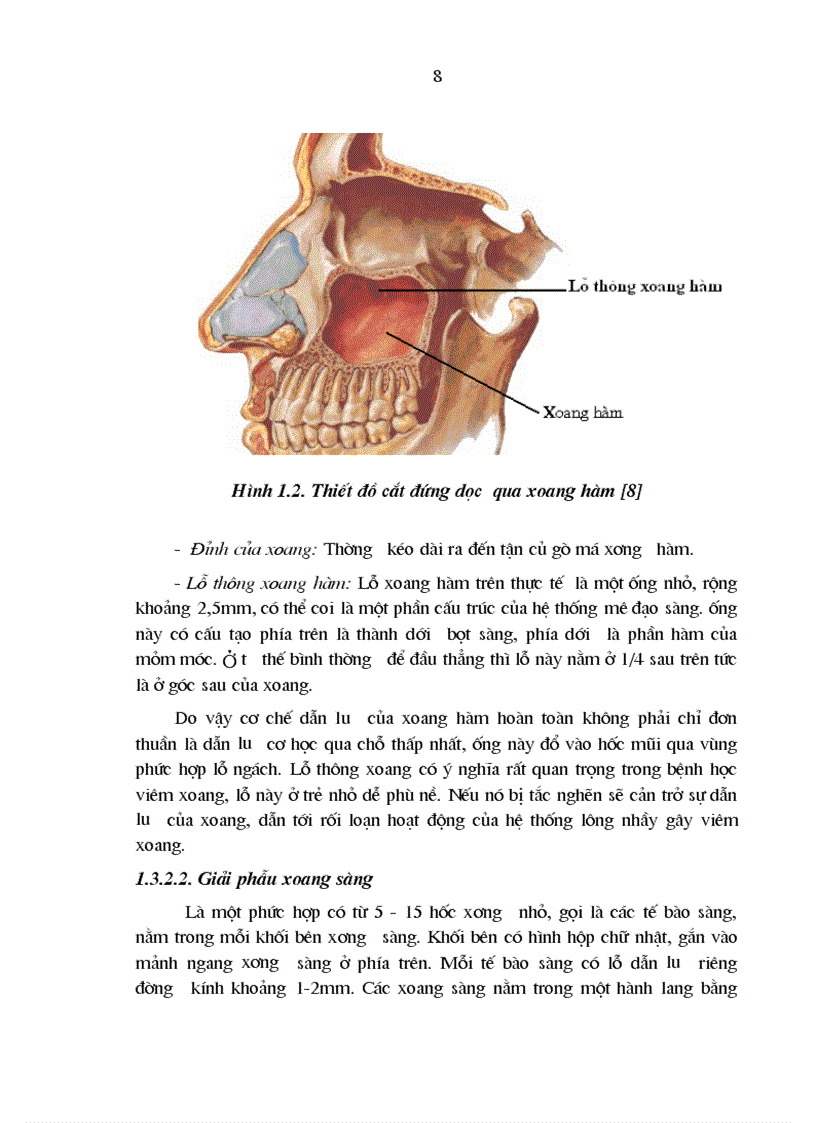 image for page Đặc điểm lâm sàng và vi khuẩn trong viêm xoang nhiễm khuẩn ở trẻ em
