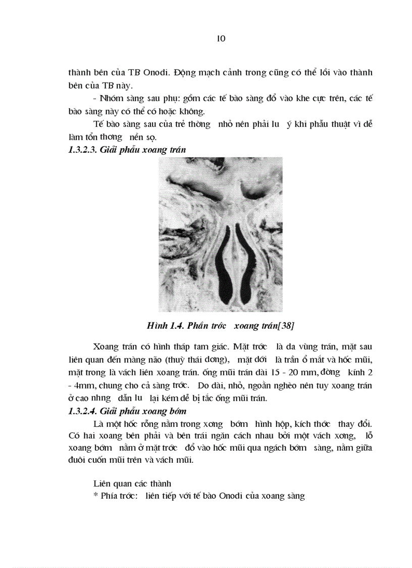 image for page Đặc điểm lâm sàng và vi khuẩn trong viêm xoang nhiễm khuẩn ở trẻ em