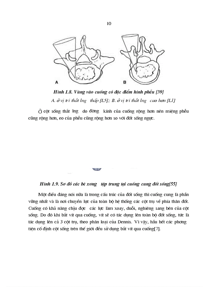 image for page Nghiên cứu đặc điểm lâm sàng chẩn đoán hình ảnh và kết quả điều trị phẫu thuật chấn thương cột sống đoạn bản lề Ngực Thắt lưng có liệt 1