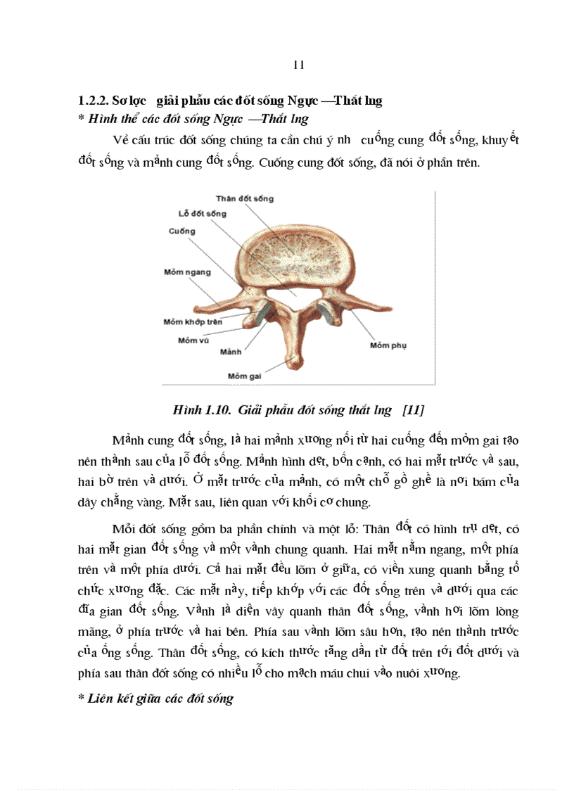 image for page Nghiên cứu đặc điểm lâm sàng chẩn đoán hình ảnh và kết quả điều trị phẫu thuật chấn thương cột sống đoạn bản lề Ngực Thắt lưng có liệt 1