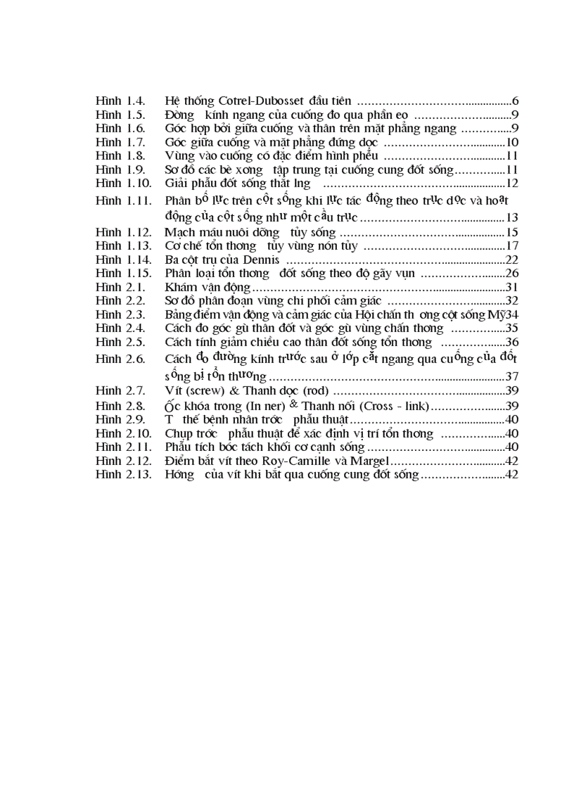 image for page Nghiên cứu đặc điểm lâm sàng chẩn đoán hình ảnh và kết quả điều trị phẫu thuật chấn thương cột sống đoạn bản lề Ngực Thắt lưng có liệt 1
