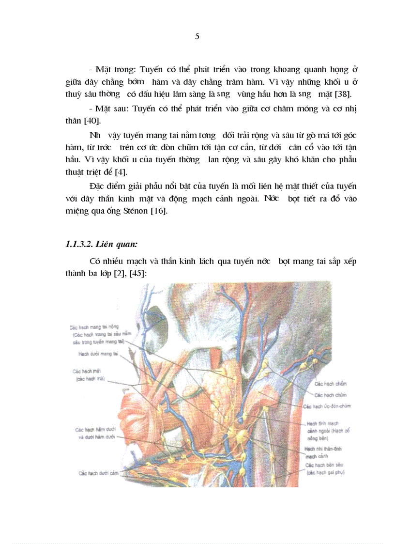 image for page Nhận xét đặc điểm lâm sàng cận lâm sàng và kết quả điều trị của ung thư tuyến mang tai tại bệnh viên k từ năm 2005 đến 2009