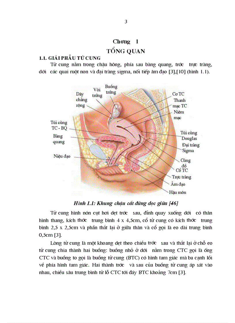 image for page Đối chiếu hình ảnh X quang siêu âm với hình ảnh buồng tử cung qua soi buồng tử cung