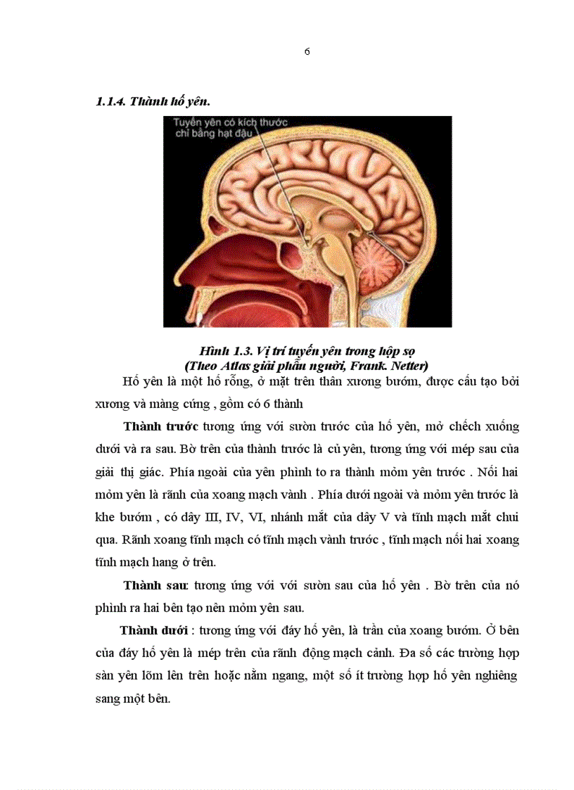 image for page Nhận xét đặc điểm lâm sàng cận lâm sàng đối chiếu 1 số đặc điểm lâm sàng với cận lâm sàng trên những bệnh nhân u tuyến yên tại bệnh viện Bạch Mai từ năm 2007 2010