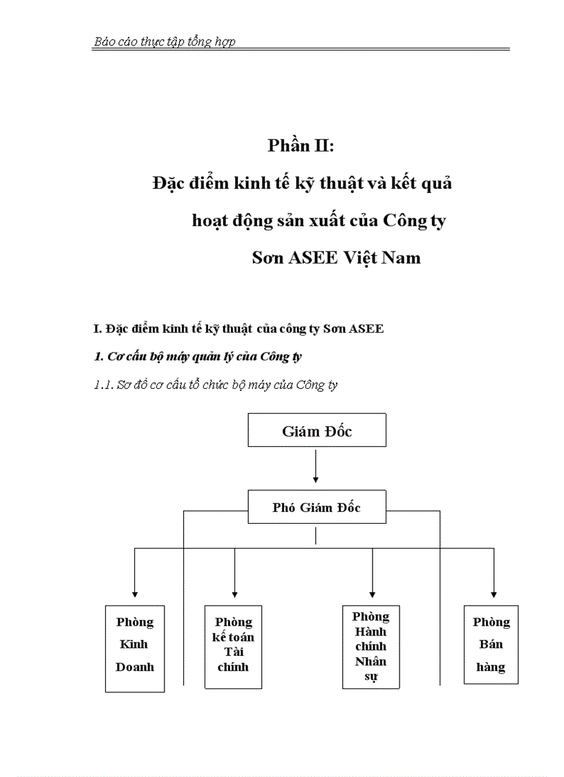 image for page Đặc điểm kinh tế kỹ thuật và kết quả sản xuất của Công ty Sơn ASEE Việt Nam