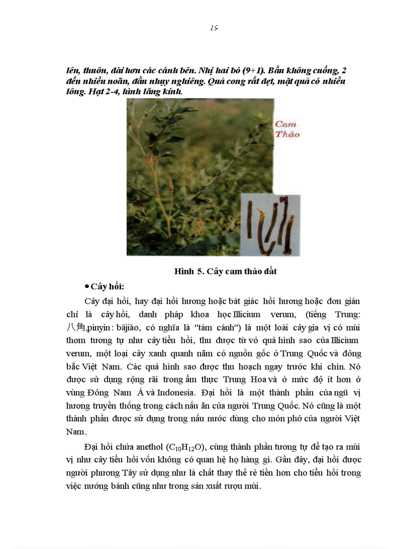 image for page Phân lập và đánh giá khả năng lên men của một số chủng nấm men có hoạt lực cao trong sản xuất cồn từ cây men lá tỉnh Lào Cai