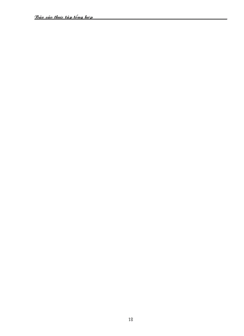 image for page Báo cáo thực tập tổng hợp tại Công ty TNHH Thương mại và Dịch vụ Thanh Xuân 1