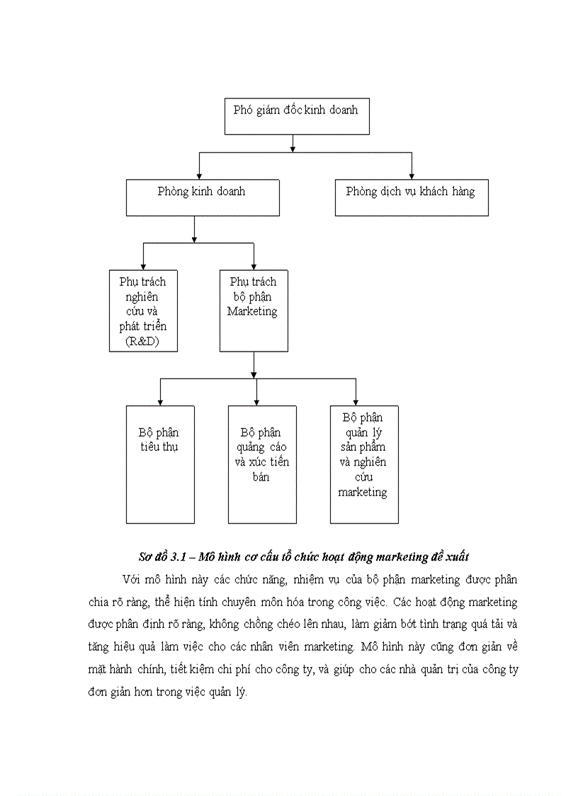 image for page Phát triển cơ cấu tổ chức hoạt động marketing của công ty TNHH sản xuất và thương mại thể thao Pronex