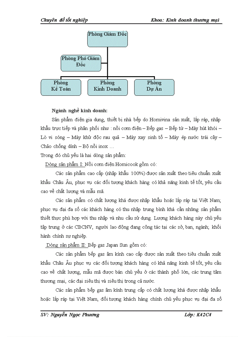 image for page Giải pháp kênh phân phối nhằm phát triển thị trường nội địa sản phẩm thiết bị nhà bếp của công ty Homivina