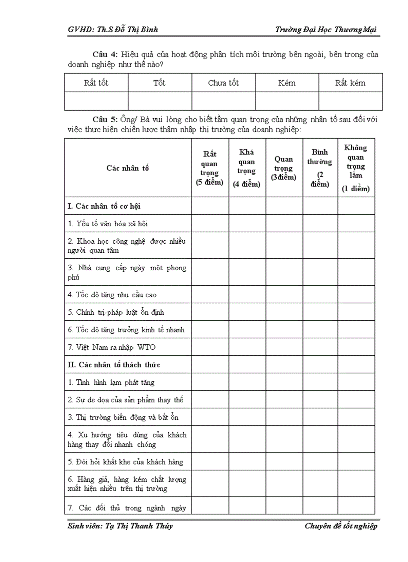 image for page Phân tích TOWS chiến lược thâm nhập thị trường của Công ty TNHH đầu tư phát triển Trung Anh tại Hà Nội 1