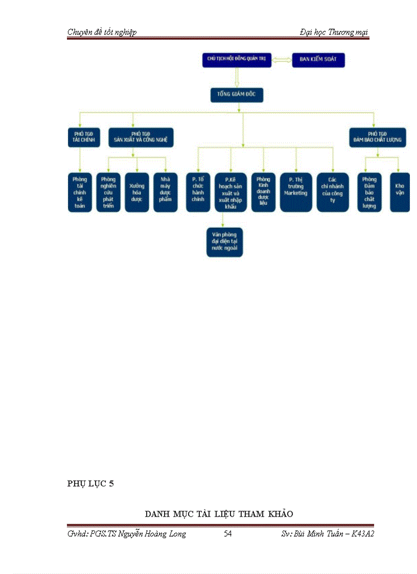 image for page Phân tích tows chiến lược thâm nhập thị trường việt nam mặt hàng tân dược của công ty cổ phần dược trung ương mediplantex 1