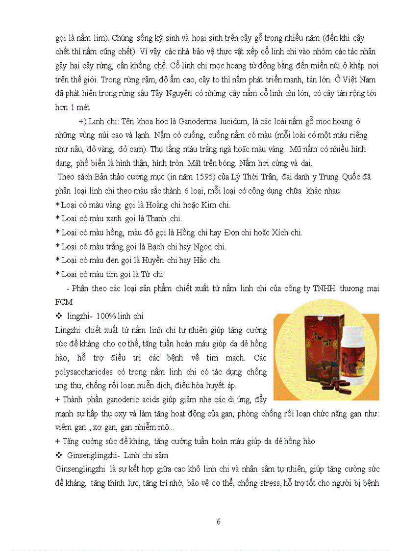 image for page Phát triển thương mại sản phẩm nấm linh chi của công ty TNHH thương mại FCM trên thị trường nội địa