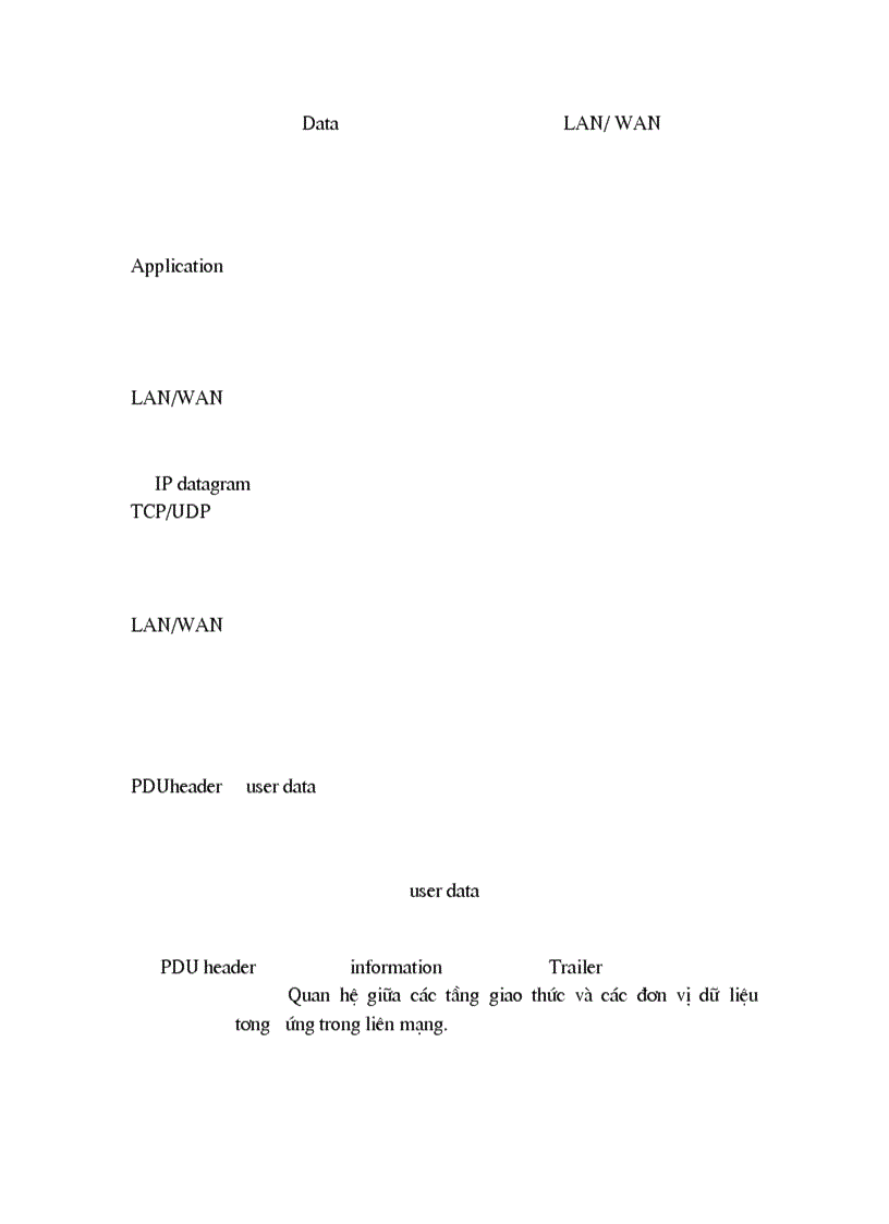 image for page Tổng quan về mạng máy tính và các giao thức