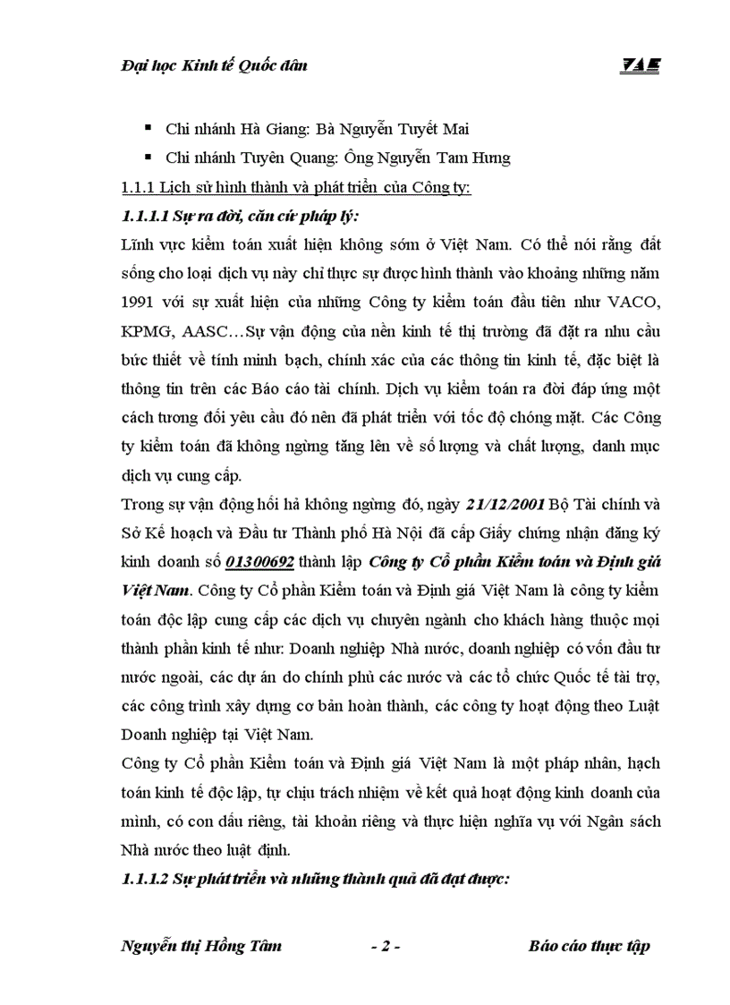 Tổng quan về công ty tnhh kiểm toán và định giá Việt nam VAE