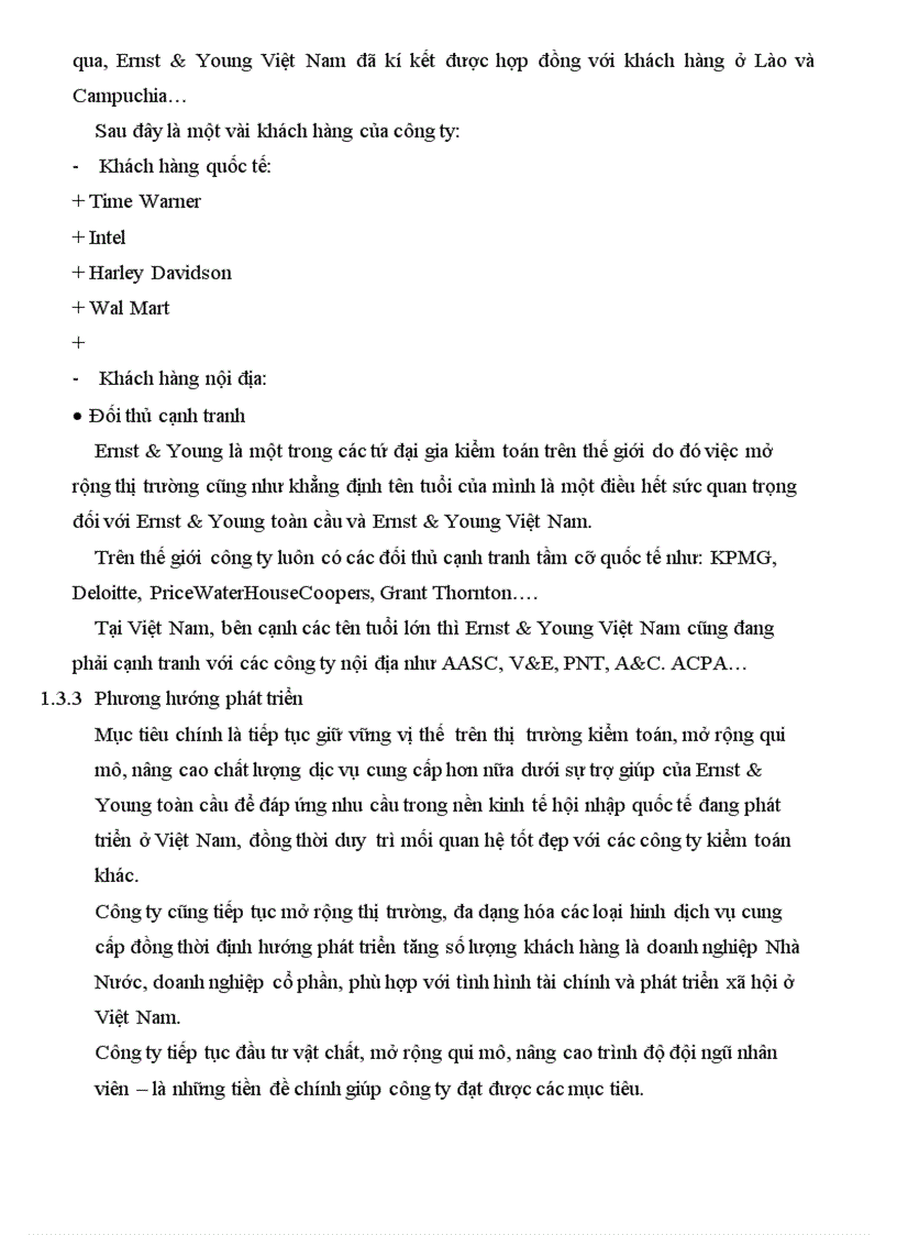 image for page Thực trạng tổ chức kiểm toán tại công ty TNHH Ernst Young 1