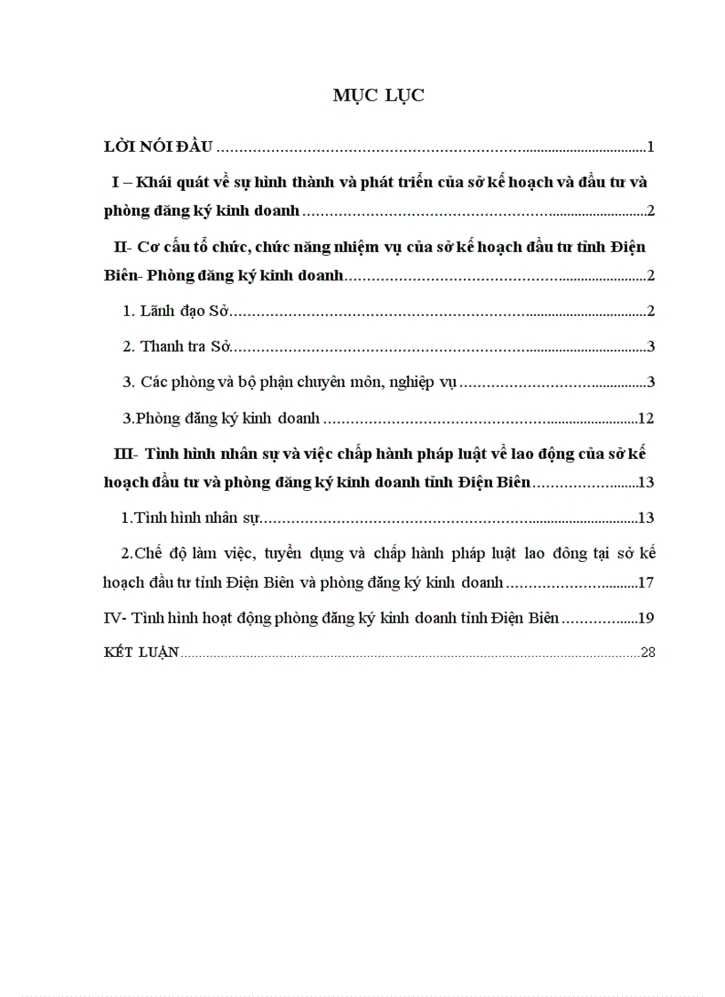 Báo cáo thực tập tại sở kế hoạch đầu tư và phòng đăng ký kinh doanh tỉnh Điện Biên