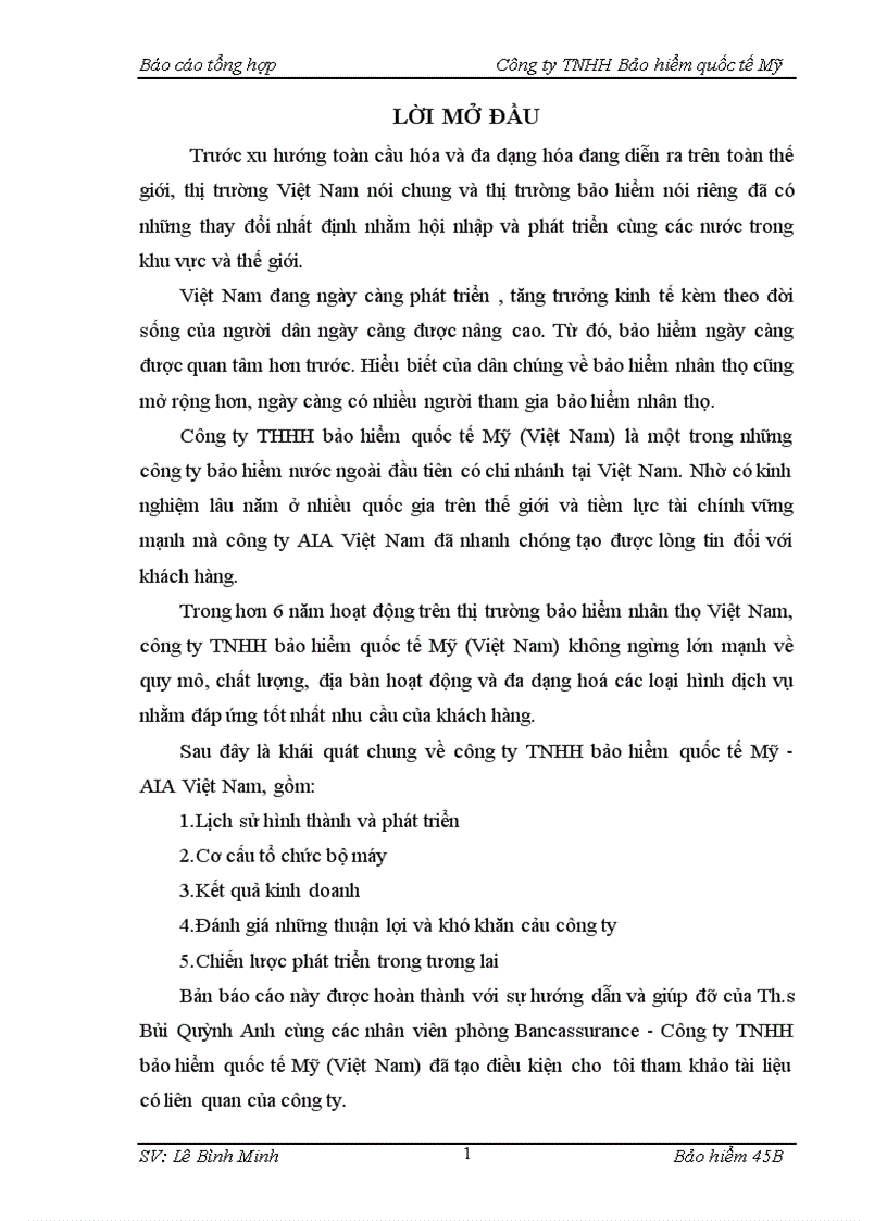 image for page Báo cáo thực tập tại Công ty TNHH Bảo hiểm quốc tế Mỹ tại Việt Nam