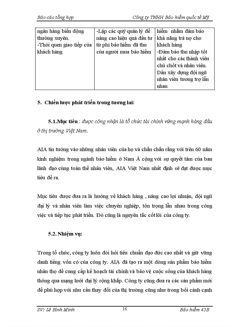 image for page Báo cáo thực tập tại Công ty TNHH Bảo hiểm quốc tế Mỹ tại Việt Nam