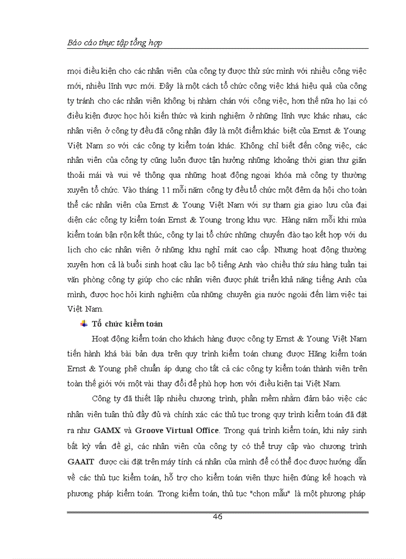 image for page Một số nhận xét đánh giá về tổ chức kiểm toán của Công ty TNHH Kiểm toán Ernst Young Việt Nam