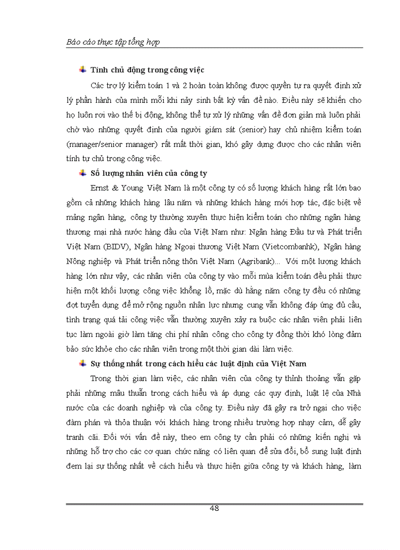 image for page Một số nhận xét đánh giá về tổ chức kiểm toán của Công ty TNHH Kiểm toán Ernst Young Việt Nam