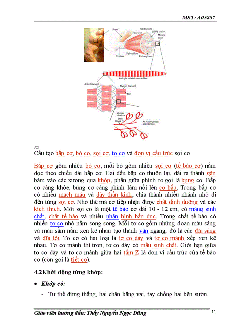 image for page Trình bày và phân tích hệ vận động và trình bày bài khởi động cơ bản của dưỡng sinh cổ truyền