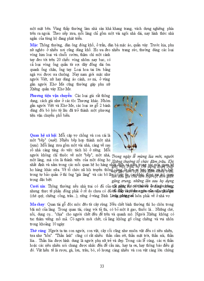 image for page Vùng Văn hóa Tây Nguyên